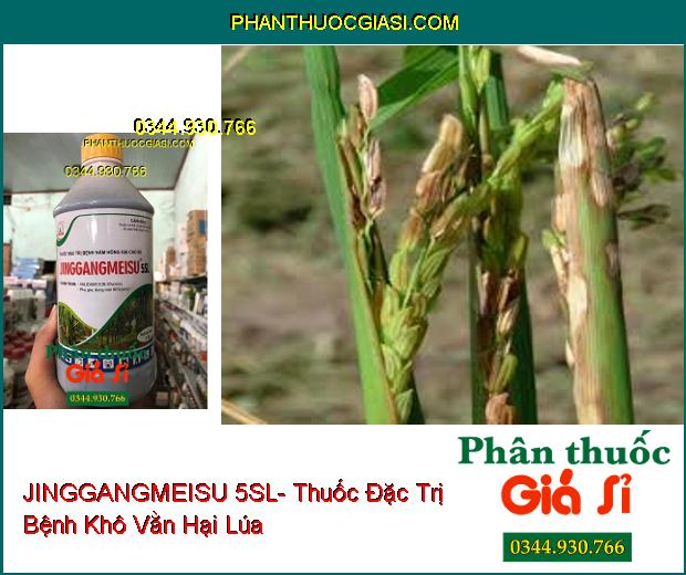 JINGGANGMEISU 5SL- Thuốc Đặc Trị Bệnh Nấm Hồng Hại Cao Su- Bệnh Khô Vằn Trên Lúa