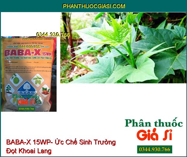 THUỐC ĐIỀU HÒA SINH TRƯỞNG BABA-X 15WP- Ức Chế Sinh Trưởng-  Tạo Mầm Hoa- Cứng Cây- Phát Triển Củ