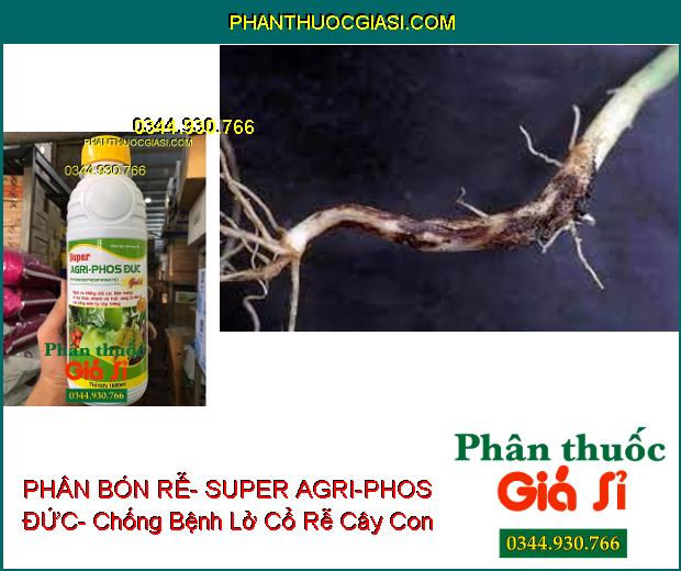 PHÂN BÓN LÁ HỖN HỢP PK BÓN RỄ- SUPER AGRI-PHOS ĐỨC- Ngừa Xì Mủ Thân- Vàng Lá- Thối Rễ