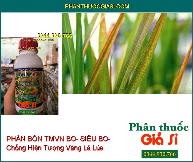 PHÂN BÓN VI LƯỢNG TMVN BO- SIÊU BO- Chống Chết Đỉnh Sinh Trưởng- Bông Khỏe- Trái To