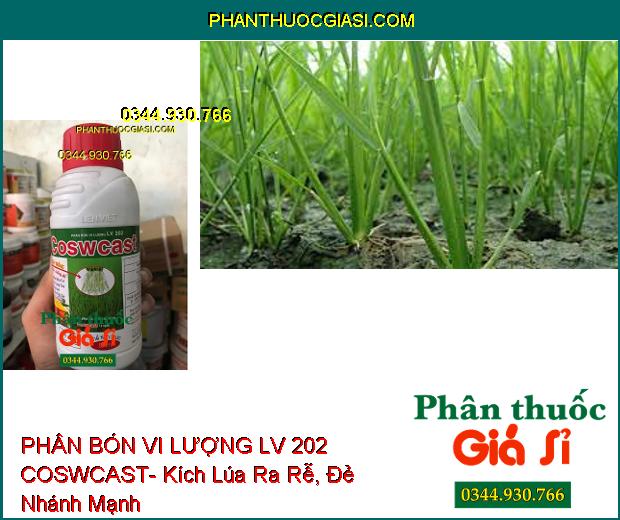 PHÂN BÓN VI LƯỢNG LV 202 COSWCAST- Giải Độc- Bung Rễ- Cứng Cây- Ra Hoa Nhiều