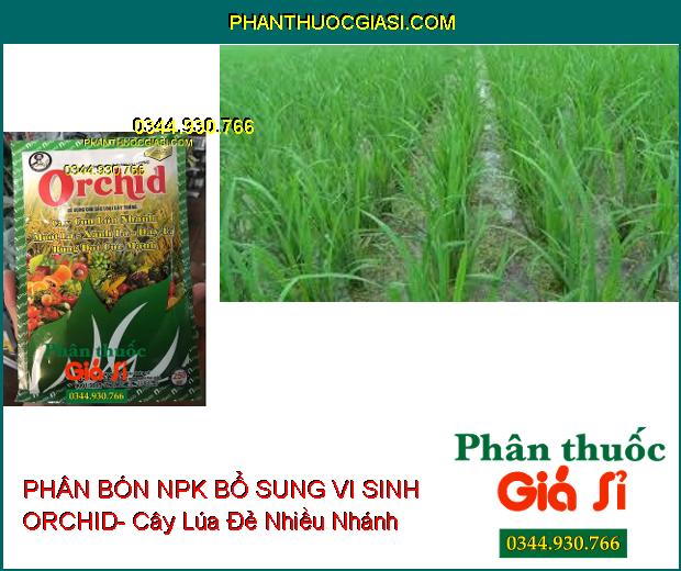 PHÂN BÓN NPK BỔ SUNG VI SINH ORCHID- Cây Con Lớn Nhanh- Mướt Lá- Xanh Lá- Dày Lá- Bung Đọt Cực Mạnh