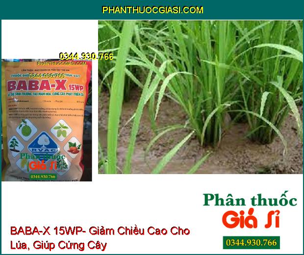 THUỐC ĐIỀU HÒA SINH TRƯỞNG BABA-X 15WP- Ức Chế Sinh Trưởng-  Tạo Mầm Hoa- Cứng Cây- Phát Triển Củ