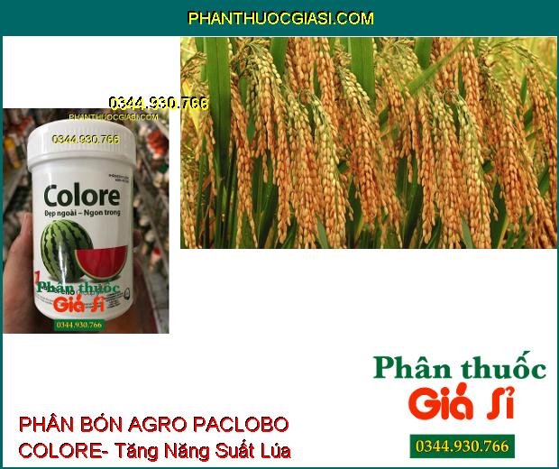 PHÂN BÓN VI LƯỢNG AGRO PACLOBO COLORE- Tăng Phẩm Chất Trái- Tăng Hương Vị