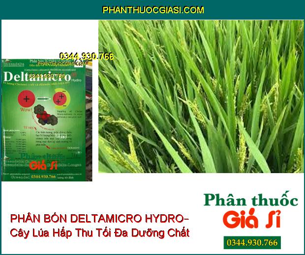 PHÂN BÓN LÁ DELTAMICRO HYDRO– Cung Cấp Vi Lượng Cho Cây Phát Triển Tốt