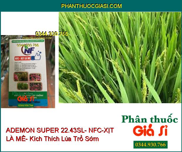 THUỐC ĐIỀU HÒA SINH TRƯỞNG ADEMON SUPER 22.43SL- NFC-XỊT LÀ MÊ- Kích Hạt Nảy Mầm- Dưỡng Trái Lớn- Ngăn Nấm Bệnh