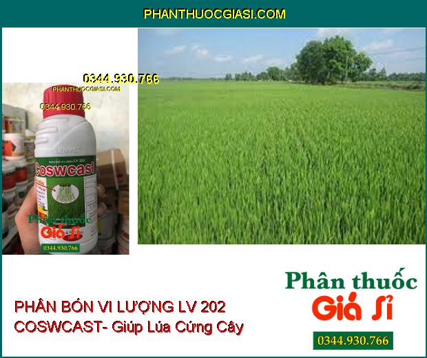 PHÂN BÓN VI LƯỢNG LV 202 COSWCAST- Giải Độc- Bung Rễ- Cứng Cây- Ra Hoa Nhiều