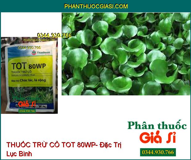 THUỐC TRỪ CỎ TOT 80WP- Đặc Trị Cỏ Hậu Nảy Mầm Sớm- Cỏ Chác Lác- Cỏ Lá Rộng