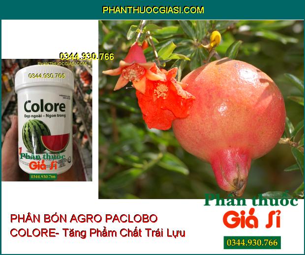 PHÂN BÓN VI LƯỢNG AGRO PACLOBO COLORE- Tăng Phẩm Chất Trái- Tăng Hương Vị