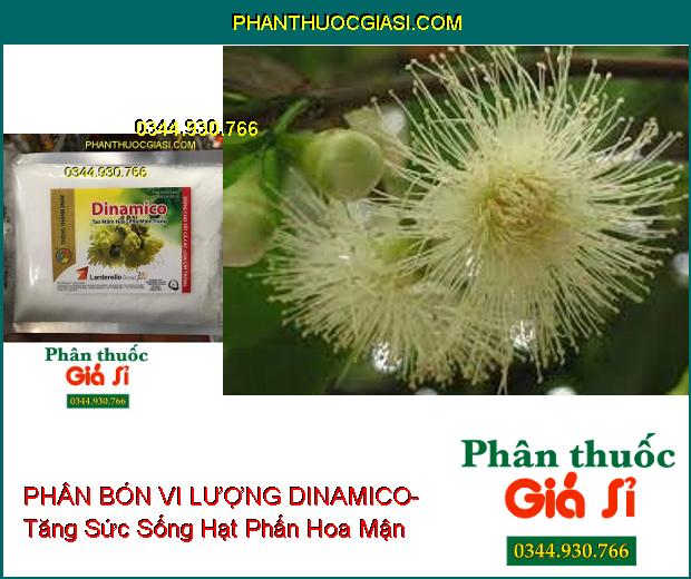 PHÂN BÓN VI LƯỢNG DINAMICO- Tạo Mầm Hoa- Phá Miên Trạng- Kích Rễ Bung Mạnh