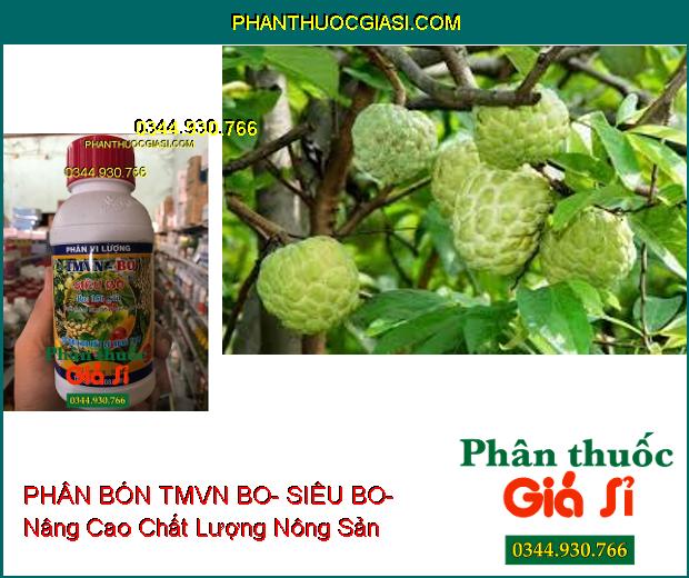 PHÂN BÓN VI LƯỢNG TMVN BO- SIÊU BO- Chống Chết Đỉnh Sinh Trưởng- Bông Khỏe- Trái To