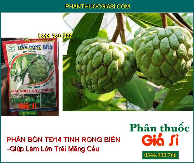 PHÂN BÓN TĐ14 TINH RONG BIỂN – Mát Bông- Mập Bông- Mát Cây- Dưỡng Trái