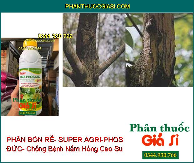 PHÂN BÓN LÁ HỖN HỢP PK BÓN RỄ- SUPER AGRI-PHOS ĐỨC- Ngừa Xì Mủ Thân- Vàng Lá- Thối Rễ