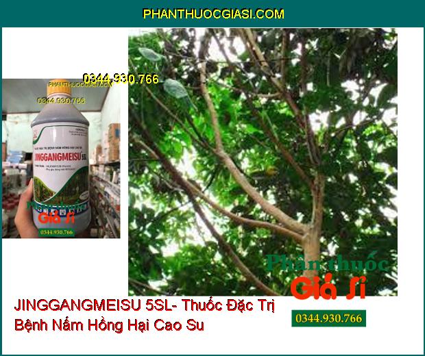 JINGGANGMEISU 5SL- Thuốc Đặc Trị Bệnh Nấm Hồng Hại Cao Su- Bệnh Khô Vằn Trên Lúa