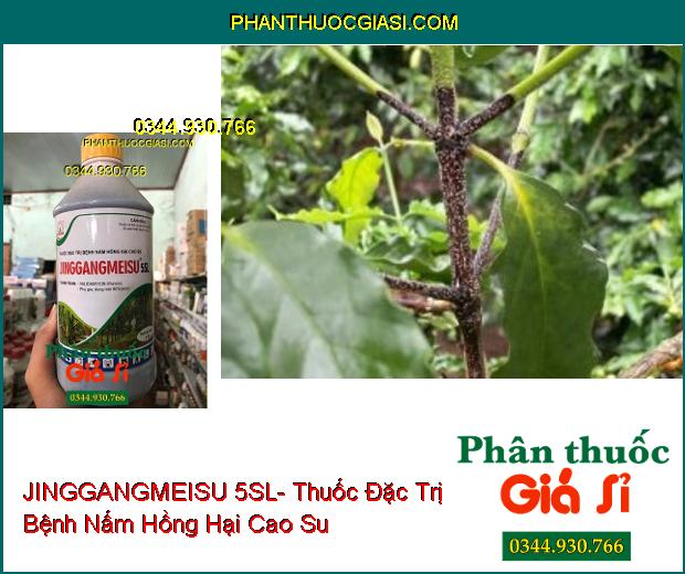 JINGGANGMEISU 5SL- Thuốc Đặc Trị Bệnh Nấm Hồng Hại Cao Su- Bệnh Khô Vằn Trên Lúa