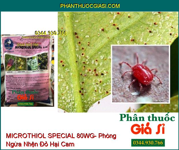 THUỐC TRỪ BỆNH MICROTHIOL SPECIAL 80WG- Phòng Ngừa Nhện Đỏ- Nhện Vàng- Bệnh Phấn Trắng