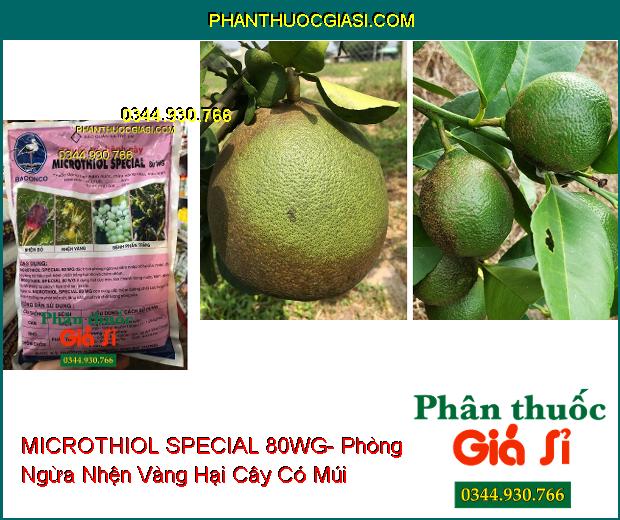 THUỐC TRỪ BỆNH MICROTHIOL SPECIAL 80WG- Phòng Ngừa Nhện Đỏ- Nhện Vàng- Bệnh Phấn Trắng