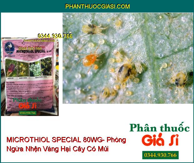 THUỐC TRỪ BỆNH MICROTHIOL SPECIAL 80WG- Phòng Ngừa Nhện Đỏ- Nhện Vàng- Bệnh Phấn Trắng