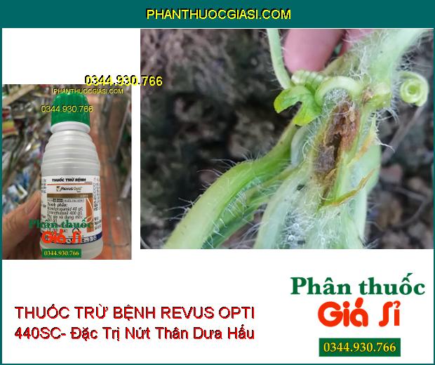 THUỐC TRỪ BỆNH REVUS OPTI 440SC- Đặc Trị Thán Thư- Sương Mai- Nứt Dây- Thối Rễ