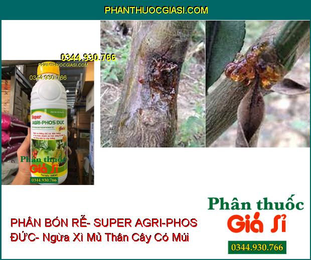 PHÂN BÓN LÁ HỖN HỢP PK BÓN RỄ- SUPER AGRI-PHOS ĐỨC- Ngừa Xì Mủ Thân- Vàng Lá- Thối Rễ