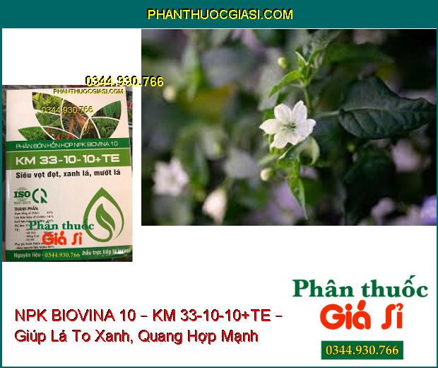 PHÂN BÓN LÁ HỖN HỢP NPK BIOVINA 10 – KM 33-10-10+TE – Siêu Vọt Đọt- Xanh Lá- Mướt Lá