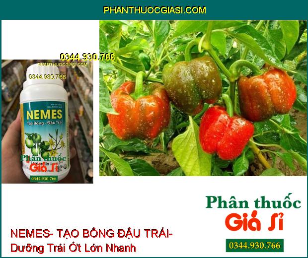 PHÂN BÓN VI LƯỢNG NEMES- TẠO BÔNG ĐẬU TRÁI- Mập Bông- Đậu Nhiều Trái- Tạo Trái Đều