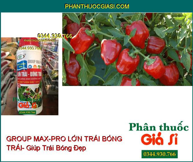 PHÂN BÓN VI LƯỢNG GROUP MAX-PRO LỚN TRÁI BÓNG TRÁI- Ra Hoa Mạnh- Trái To- Nặng Ký