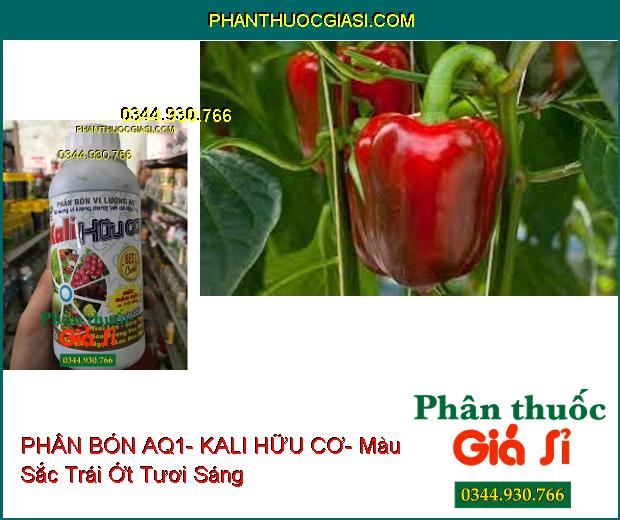 PHÂN BÓN VI LƯỢNG AQ1- KALI HỮU CƠ – Xanh Cây- Chống Rụng Trái- To Trái- Tăng Hương Vị