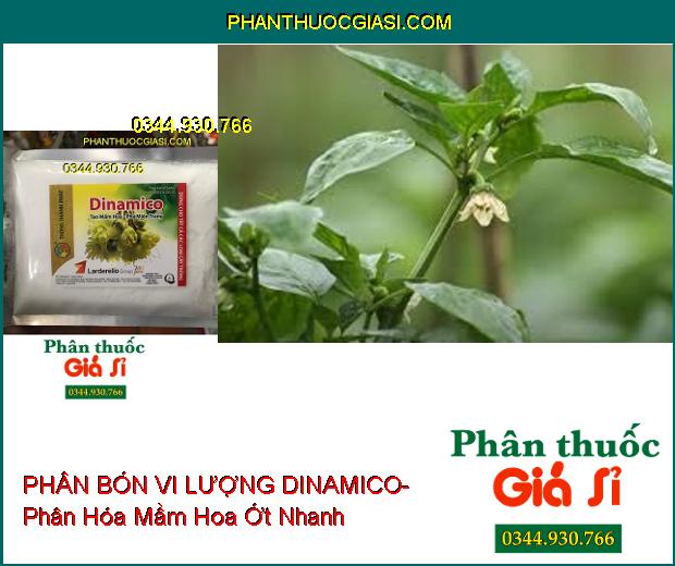 PHÂN BÓN VI LƯỢNG DINAMICO- Tạo Mầm Hoa- Phá Miên Trạng- Kích Rễ Bung Mạnh