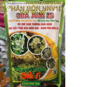 PHÂN BÓN NNV16 – OBA JUM 25 – Xử Lý Ra Hoa Theo Ý Muốn- Ức Chế Đọt Non- Phân Hóa Mầm Hoa Đồng Loạt