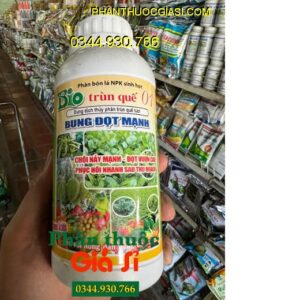 BIO TRÙN QUẾ 01 BUNG ĐỌT MẠNH- Chồi Nảy Mạnh- Phục Hồi Nhanh Sau Thu Hoạch