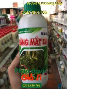 SÁNG MẮT CUA