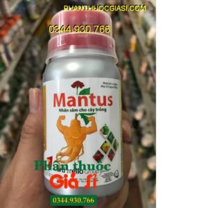 MANTUS – NHÂN SÂM CHO CÂY TRỒNG