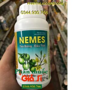 NEMES- TẠO BÔNG ĐẬU TRÁI