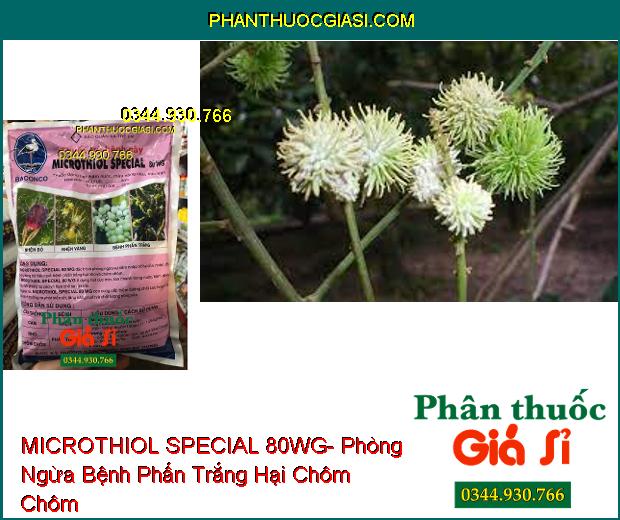 THUỐC TRỪ BỆNH MICROTHIOL SPECIAL 80WG- Phòng Ngừa Nhện Đỏ- Nhện Vàng- Bệnh Phấn Trắng