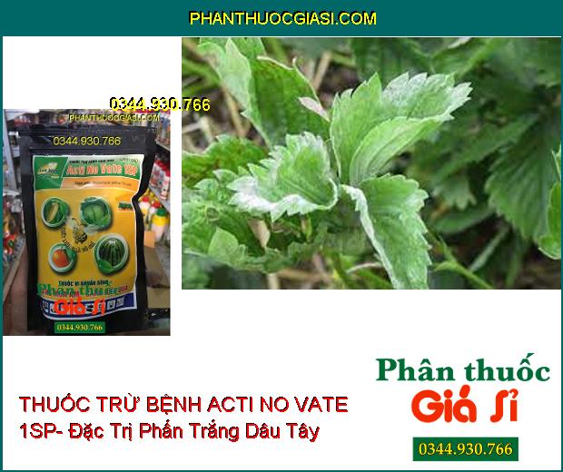 THUỐC TRỪ BỆNH SINH HỌC ACTI NO VATE 1SP- Đặc Trị Tuyến Trùng- Thối Rễ- Héo Xanh- Mốc Xám