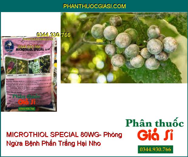 THUỐC TRỪ BỆNH MICROTHIOL SPECIAL 80WG- Phòng Ngừa Nhện Đỏ- Nhện Vàng- Bệnh Phấn Trắng