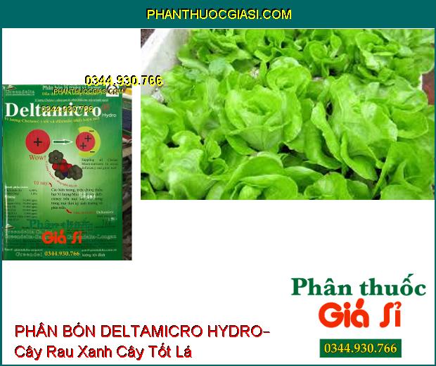 PHÂN BÓN LÁ DELTAMICRO HYDRO– Cung Cấp Vi Lượng Cho Cây Phát Triển Tốt