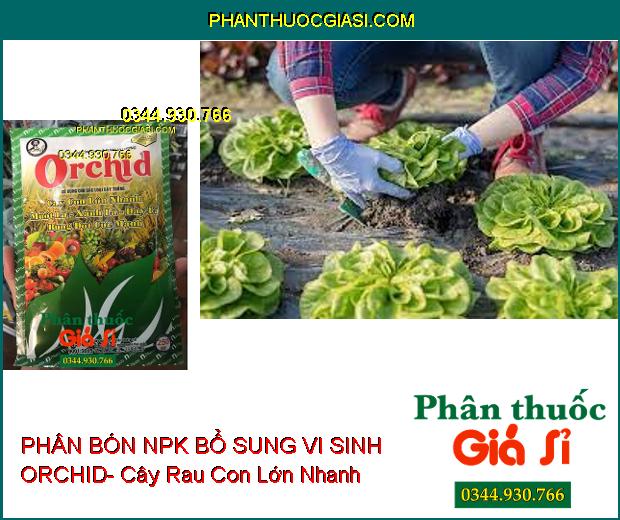 PHÂN BÓN NPK BỔ SUNG VI SINH ORCHID- Cây Con Lớn Nhanh- Mướt Lá- Xanh Lá- Dày Lá- Bung Đọt Cực Mạnh