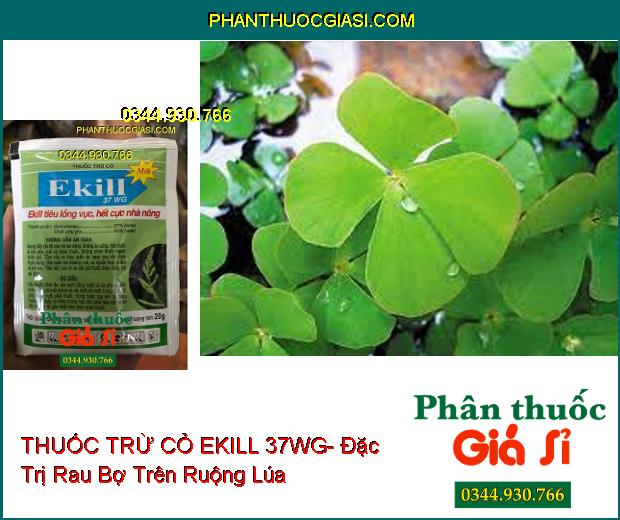 THUỐC TRỪ CỎ EKILL 37WG- Đặc Trị Cỏ Lồng Vực (Cỏ Gạo) Trên Ruộng Lúa