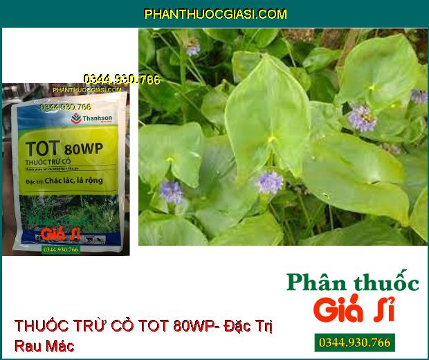 THUỐC TRỪ CỎ TOT 80WP- Đặc Trị Cỏ Hậu Nảy Mầm Sớm- Cỏ Chác Lác- Cỏ Lá Rộng