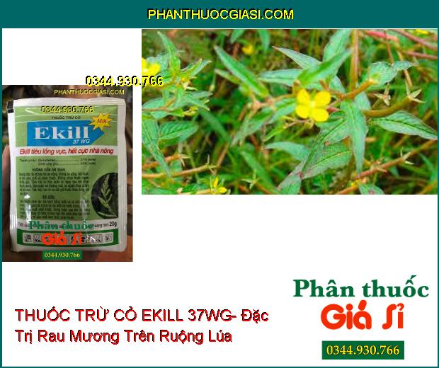 THUỐC TRỪ CỎ EKILL 37WG- Đặc Trị Cỏ Lồng Vực (Cỏ Gạo) Trên Ruộng Lúa