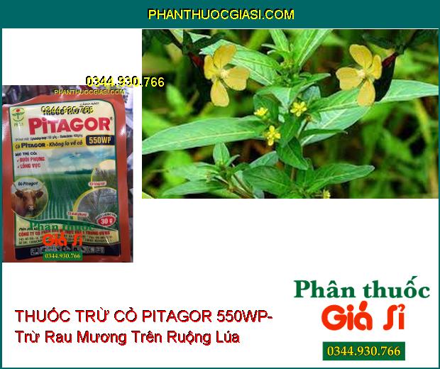 THUỐC TRỪ CỎ PITAGOR 550WP- Trừ Các Loại Cỏ Trên Ruộng Lúa- Cỏ Khó Trị