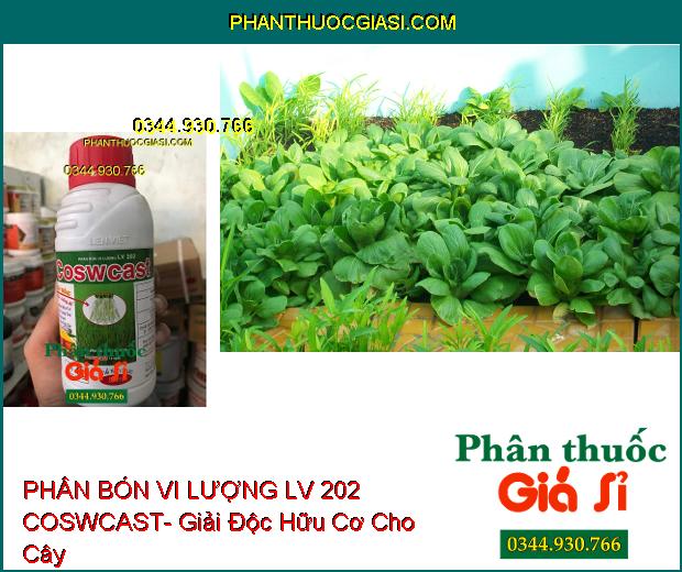 PHÂN BÓN VI LƯỢNG LV 202 COSWCAST- Giải Độc- Bung Rễ- Cứng Cây- Ra Hoa Nhiều