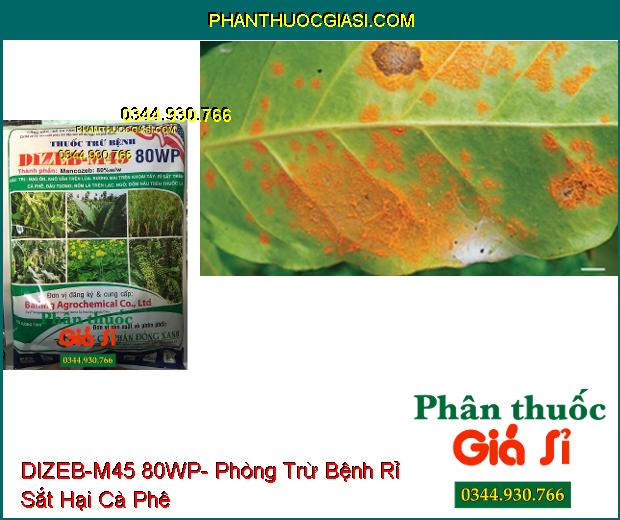 THUỐC TRỪ BỆNH DIZEB-M45 80WP-