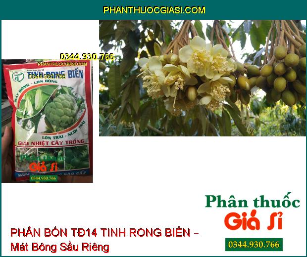 PHÂN BÓN TĐ14 TINH RONG BIỂN – Mát Bông- Mập Bông- Mát Cây- Dưỡng Trái