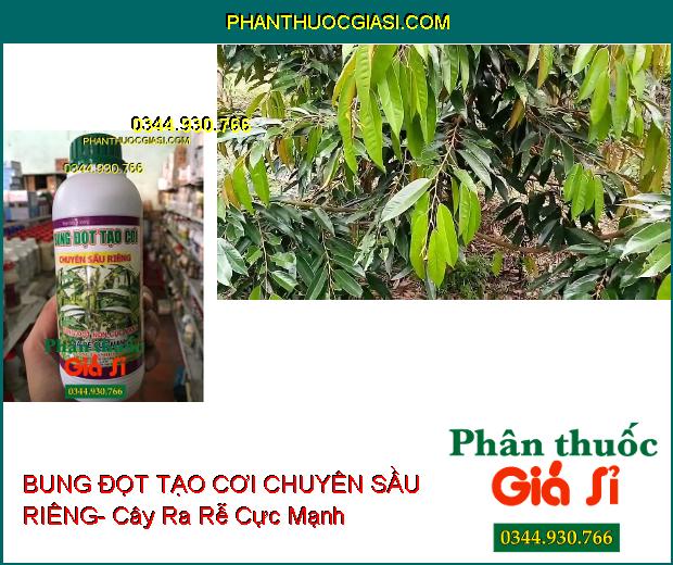 PHÂN BÓN VI LƯỢNG BUNG ĐỌT TẠO CƠI CHUYÊN SẦU RIÊNG- Bung Đọt Non Cực Mạnh- Ra Rễ Cực Mạnh