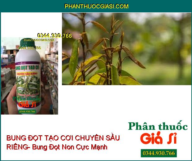 PHÂN BÓN VI LƯỢNG BUNG ĐỌT TẠO CƠI CHUYÊN SẦU RIÊNG- Bung Đọt Non Cực Mạnh- Ra Rễ Cực Mạnh