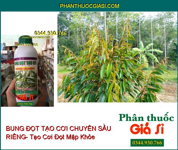 PHÂN BÓN VI LƯỢNG BUNG ĐỌT TẠO CƠI CHUYÊN SẦU RIÊNG- Bung Đọt Non Cực Mạnh- Ra Rễ Cực Mạnh