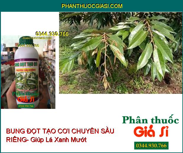 PHÂN BÓN VI LƯỢNG BUNG ĐỌT TẠO CƠI CHUYÊN SẦU RIÊNG- Bung Đọt Non Cực Mạnh- Ra Rễ Cực Mạnh